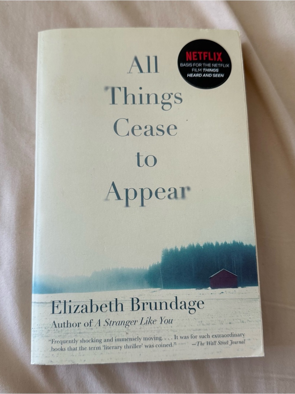 Elizabeth Brundage "All Things Cease to Appear" - Cream & Blue Paperback